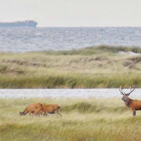 Fewo-Kramm Ostseebad Dierhagen Luaran gambar